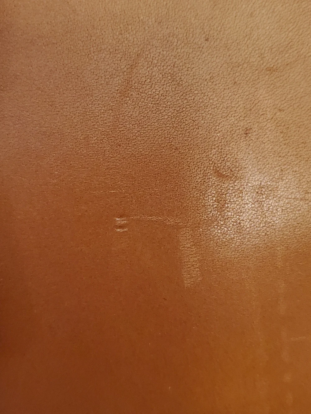 Leegin Saddle Leather Bed roll? Book strap? Bard LARP, Renaissance Fair
